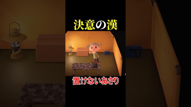 フータはマヂで信用できる #あつ森 #あつまれどうぶつの森 #animalcrossing