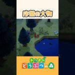 【偶然】ちょっとレアな魚？ #あつ森 #あつまれどうぶつの森 #animalcrossing #ほのぼの #ほのげ #shorts
