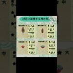 #あつまれどうぶつの森 #あつ森 #animalcrossing #ゲーム #switch #switch2 #チャンネル登録と高評価お願いします