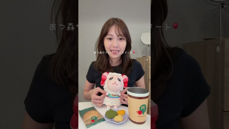 あつ森サブレとゲームとちゃちゃまると🎮ゆったり過ごすおうち時間🛋️あつ森animalcrssingどうぶつの森ゲーム