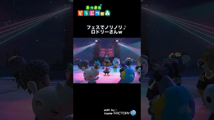 【あつ森】ロドリー氏のフェスdeストレス発散？
