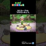 【あつ森】はにわーズdeけけだいみょう