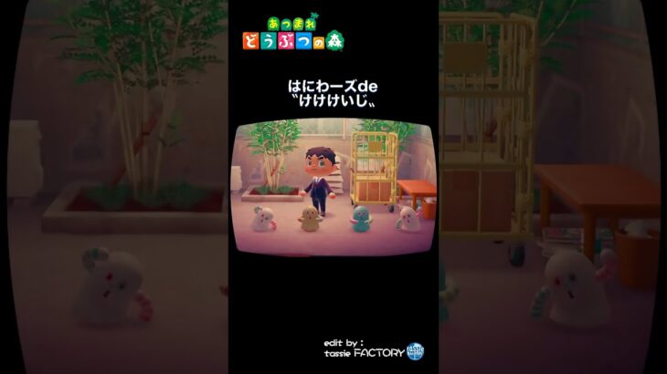 【あつ森】はにわーズdeけけけいじ