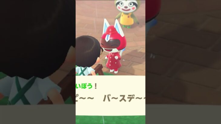 夫の誕生日💓💓💓あつ森夫婦　happybirthday