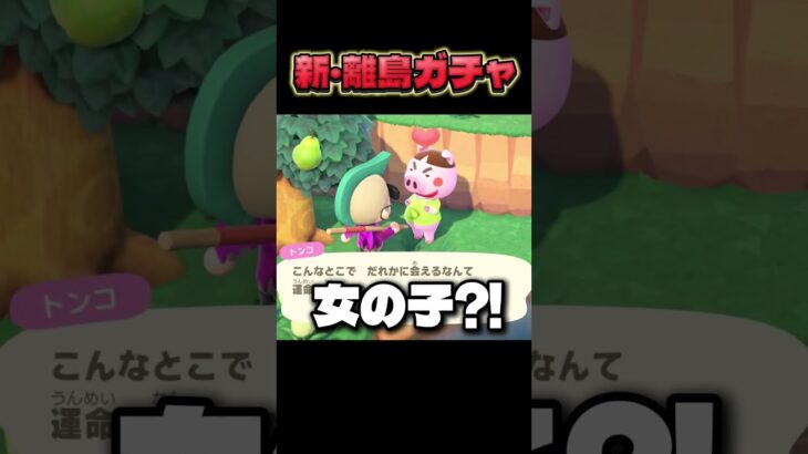 視聴者から貰わない縛り #あつ森 #nintendo