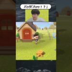 油断はしない方がいい。#あつ森 #あつまれどうぶつの森　#ゲーム実況 #nintendo #shorts
