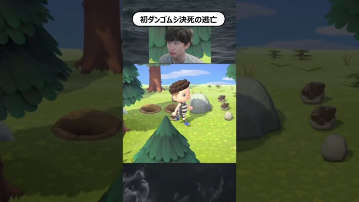 初めてのダンゴムシ。#あつ森 #あつまれどうぶつの森 #ゲーム実況 #nintendo #shorts