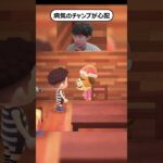 チャンプが病気になりました。#あつ森 #あつまれどうぶつの森 #ゲーム実況 #nintendo #shorts