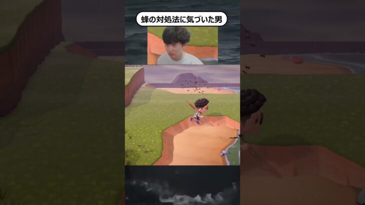 ２つの蜂の対処法#あつ森 #あつまれどうぶつの森　#ゲーム実況 #nintendo #shorts