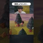 最後の訓練を開始しようと思いました#あつ森 #あつまれどうぶつの森　#ゲーム実況 #nintendo #shorts