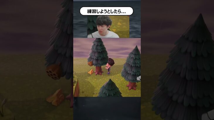 最後の訓練を開始しようと思いました#あつ森 #あつまれどうぶつの森　#ゲーム実況 #nintendo #shorts