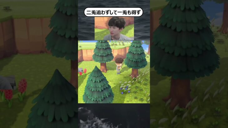 ただの狩りが下手な人。#あつ森 #あつまれどうぶつの森 #ゲーム実況 #nintendo #shorts