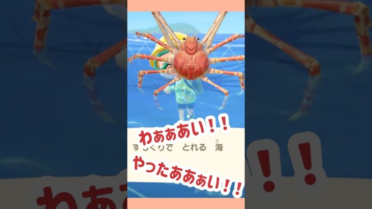 カニヤバい🦀#shorts #あつ森