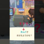 【あつ森】あつ森の謎。　#shorts #あつ森