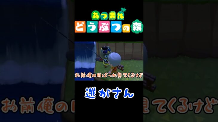 来島者を激詰めする島民代表【あつ森】【あつまれ どうぶつの森】【雑談】#shorts #ゲーム実況 #あつ森 #どうぶつの森 #あつまれどうぶつの森 #雑談
