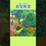 【あつ森】低木ぬすんだのだれ？#あつ森 #shorts