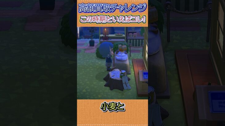 この時期よく見るアレで久々の大量生産！#あつ森 #あつまれどうぶつの森 #shorts