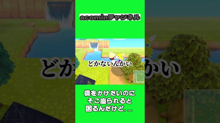 【あつ森】橋をかけたいのにそこ座られると困るんだけど… |shorts