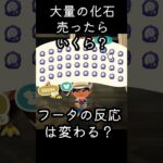 あつ森 大量の化石売ったらいくら？ フータの反応は変わる？  #shorts  #あつまれどうぶつの森 #あつ森  #animalcrossing #ゲーム実況