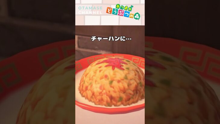 【あつ森小ネタ】その組み合わせ、合ってる…？　#shorts #あつ森 #あつまれどうぶつの森 #animalcrossing
