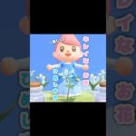 夜になると更に幻想的…？！？！#あつ森 #どうぶつの森 #あつまれどうぶつの森 #shortvideo #shorts #short #ひめしずか#ようせいのビン