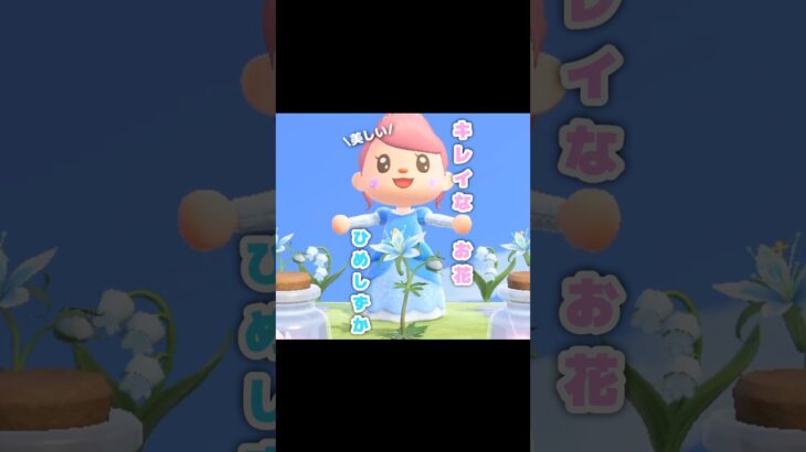 夜になると更に幻想的…？！？！#あつ森 #どうぶつの森 #あつまれどうぶつの森 #shortvideo #shorts #short #ひめしずか#ようせいのビン