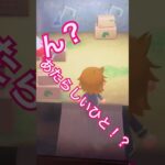【あつ森】新人くん #あつまれどうぶつの森 #あつ森 #あつ森ショート #あつ森switch #あつ森初心者 #新人