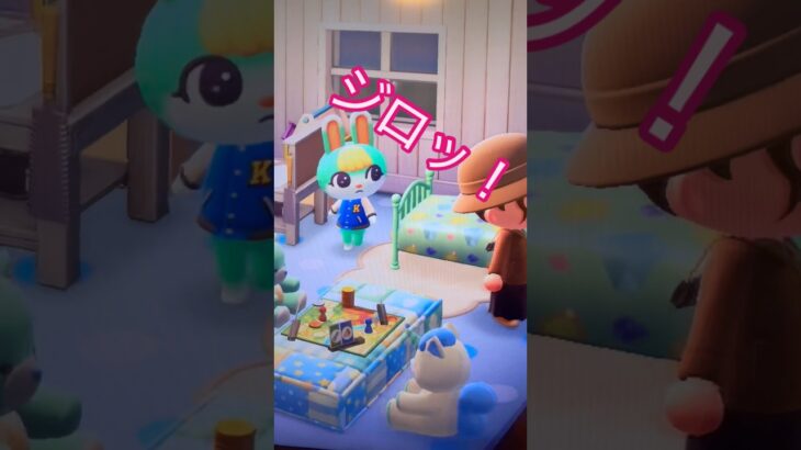 【あつ森】とつげきほうもん #あつまれどうぶつの森 #あつ森 # #あつ森ショート #あつ森switch #あつ森初心者 #突撃