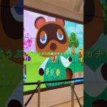 【どうぶつの森】フルーツキーホルダーコレクション