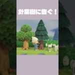 針葉樹くんに告ぐ！#あつ森 #あつ森ライブ配信 #あつまれどうぶつの森
