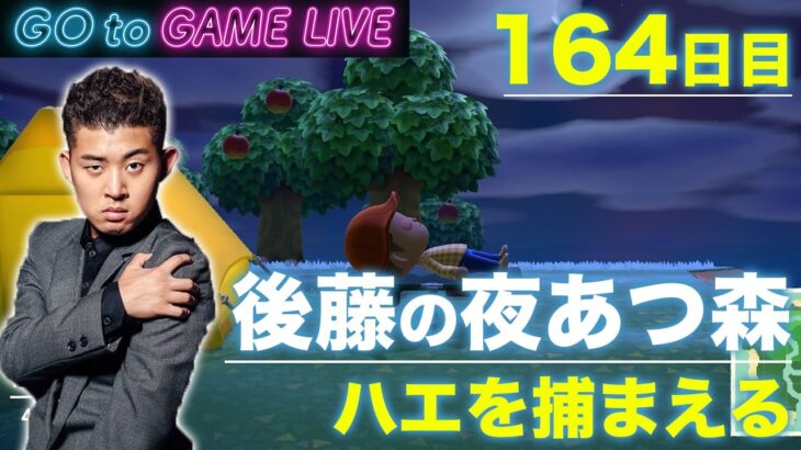 【後藤の夜あつ森】ハエを捕まえる