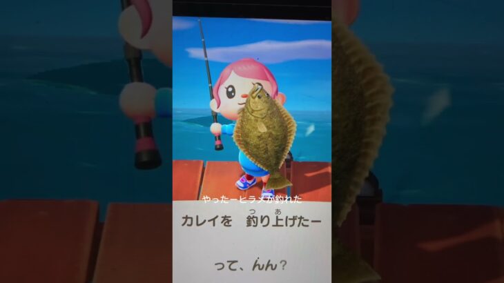 今日は何釣れるかな　#あつ森ショート