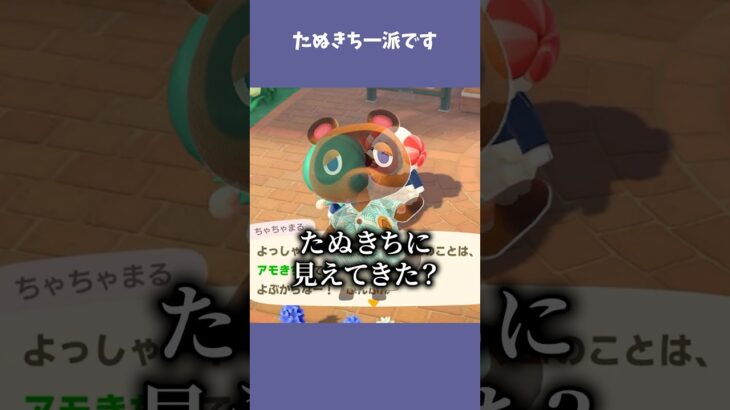 たぬきちの弟子判定されました #あつ森  #あつまれどうぶつの森  #女性ゲーム実況