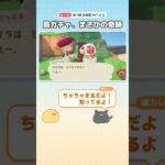 【あつもり生配信切り抜き】島ガチャの奇跡 #あつ森 #あつまれどうぶつの森 #どうぶつの森