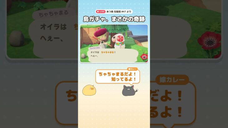 【あつもり生配信切り抜き】島ガチャの奇跡 #あつ森 #あつまれどうぶつの森 #どうぶつの森