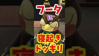【検証】フータって寝起きいいの？【あつ森】