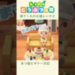 【あつ森】今日だけは気まづいおうち訪問…！🫣💭#あつまれどうぶつの森