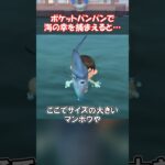 ポケットパンパンで海の幸を捕まえるとどうなる？ 【あつ森】@ほのげ