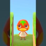 【あつ森】ケチャップ参上！