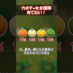 かぼちゃを全種類育てる！ 【あつ森】@ほのげ