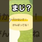 【あつ森】まじか！！！あの住民からモヤが…果たして？？？