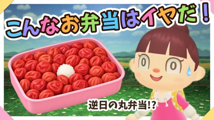 【あつ森アニメ】こんなお弁当はイヤだ！【あつまれどうぶつの森】