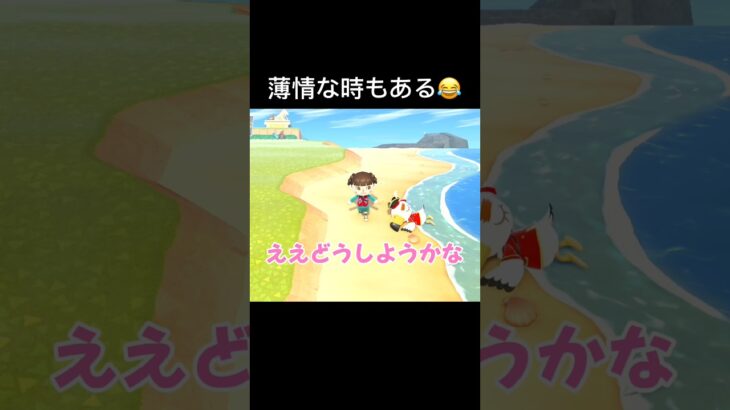 少し迷うもあっさり見捨ててワロタ#あつ森