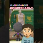 あつ森となりのおじさんまさか本物だったなんて
