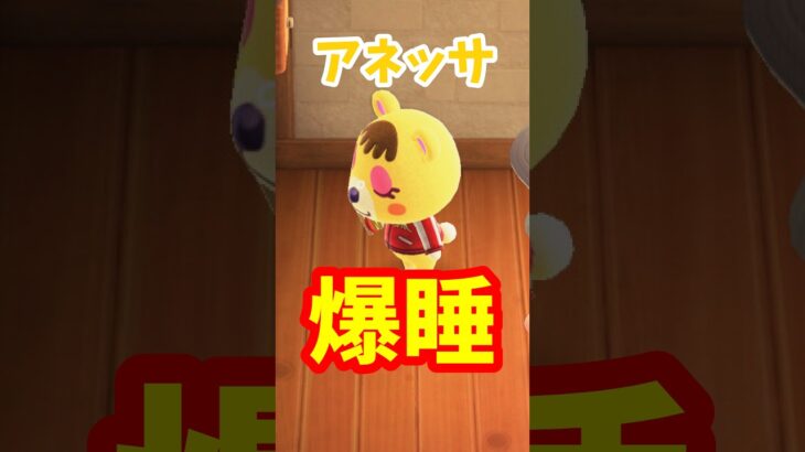 【あつ森】全然起きないアネッサ姉さん。