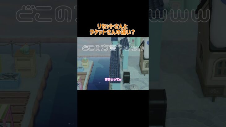 【あつ森】ラケットさん初登場！?