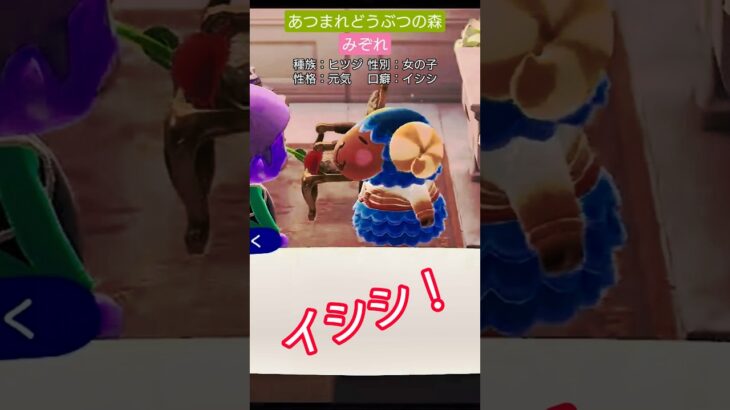 【#あつ森 】みぞれ【#あつまれどうぶつの森 】