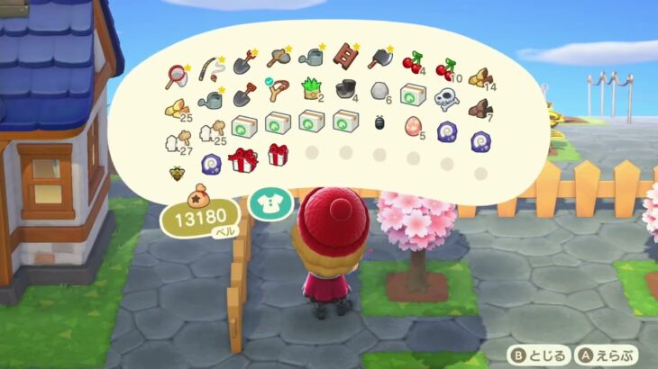 あつまれどうぶつの森【博物館が改装中】