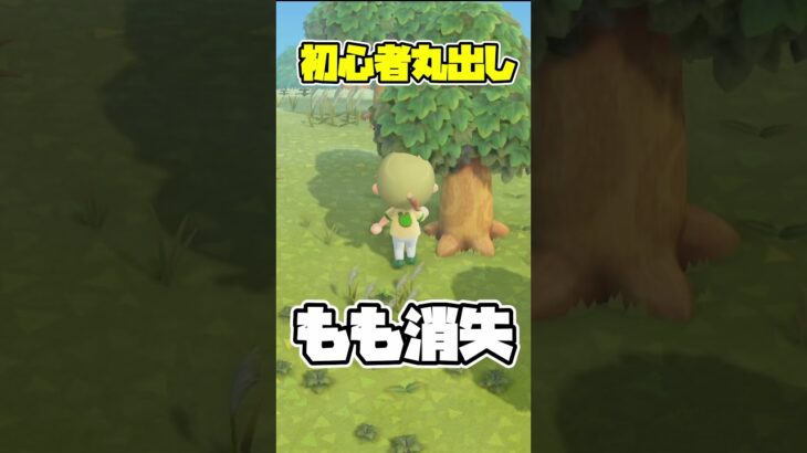 初心者ムーブ収穫編 #あつまれどうぶつの森 #あつ森 #ゲーム実況