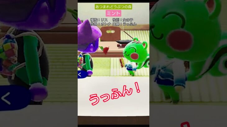 【#あつ森 】ミント【#あつまれどうぶつの森 】